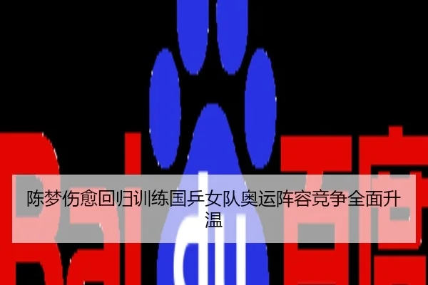陈梦伤愈回归训练国乒女队奥运阵容竞争全面升温