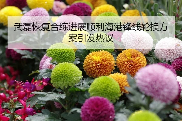 武磊恢复合练进展顺利海港锋线轮换方案引发热议