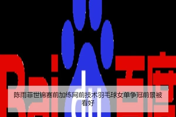 陈雨菲世锦赛前加练网前技术羽毛球女单争冠前景被看好